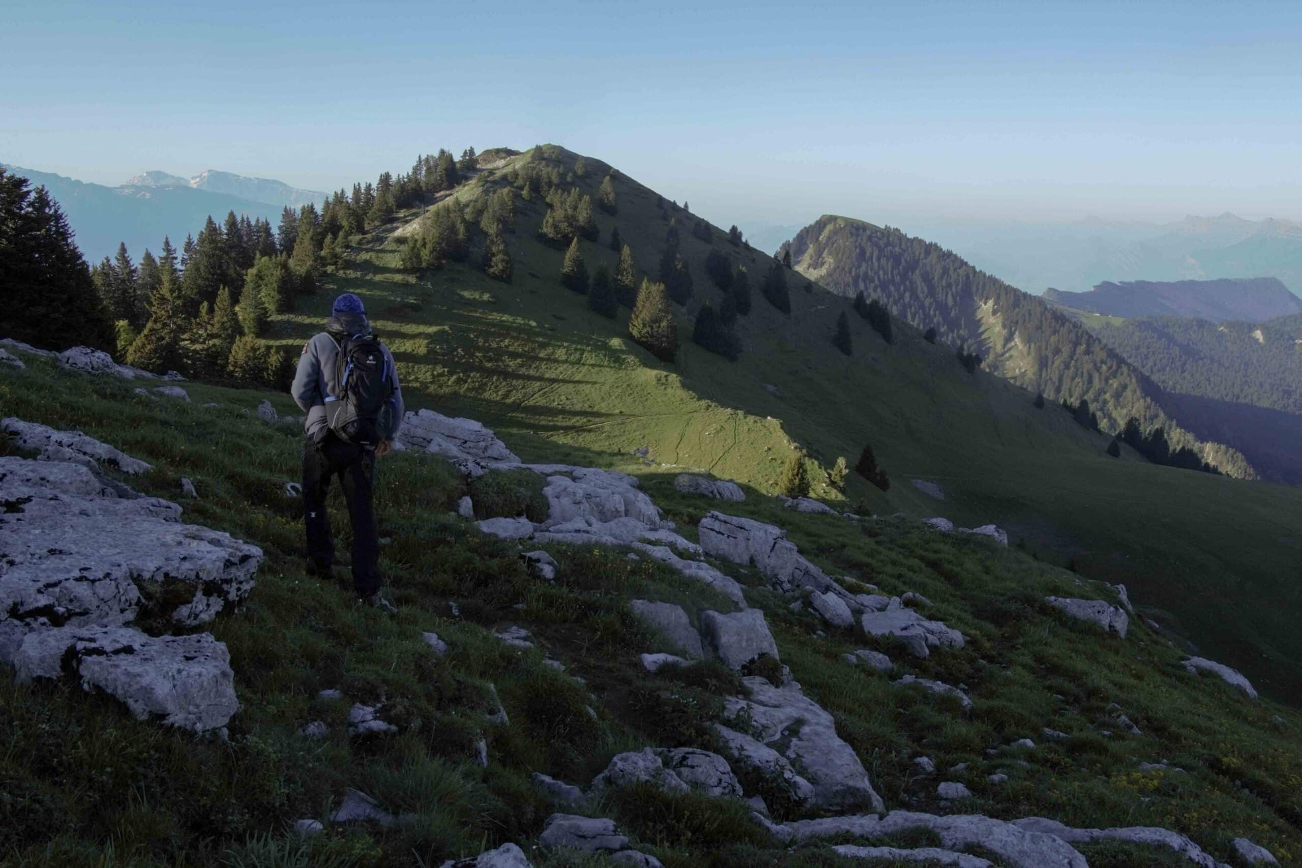 _MG_8983 (2)